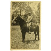 German Gebirgsjäger riding horse portrait 